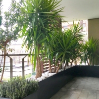 outdoor_011_caracino