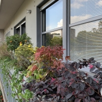 outdoor_013_garavaglia