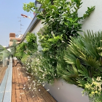 outdoor_021_mancuso