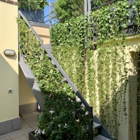 outdoor_022_maraschio