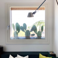 outdoor_034_schwarz-cactus