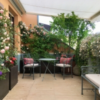 outdoor_03_arditi