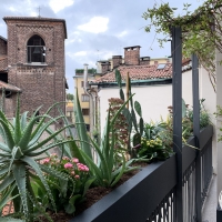 outdoor_040_torrani