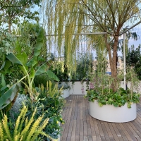 outdoor_041_viano