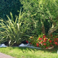 outdoor_046_cassina_giaridno