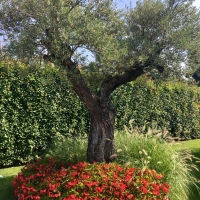 outdoor_047_cassina_giaridno