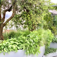 outdoor_070
