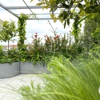 outdoor_074