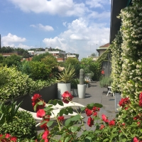 outdoor_08_boh