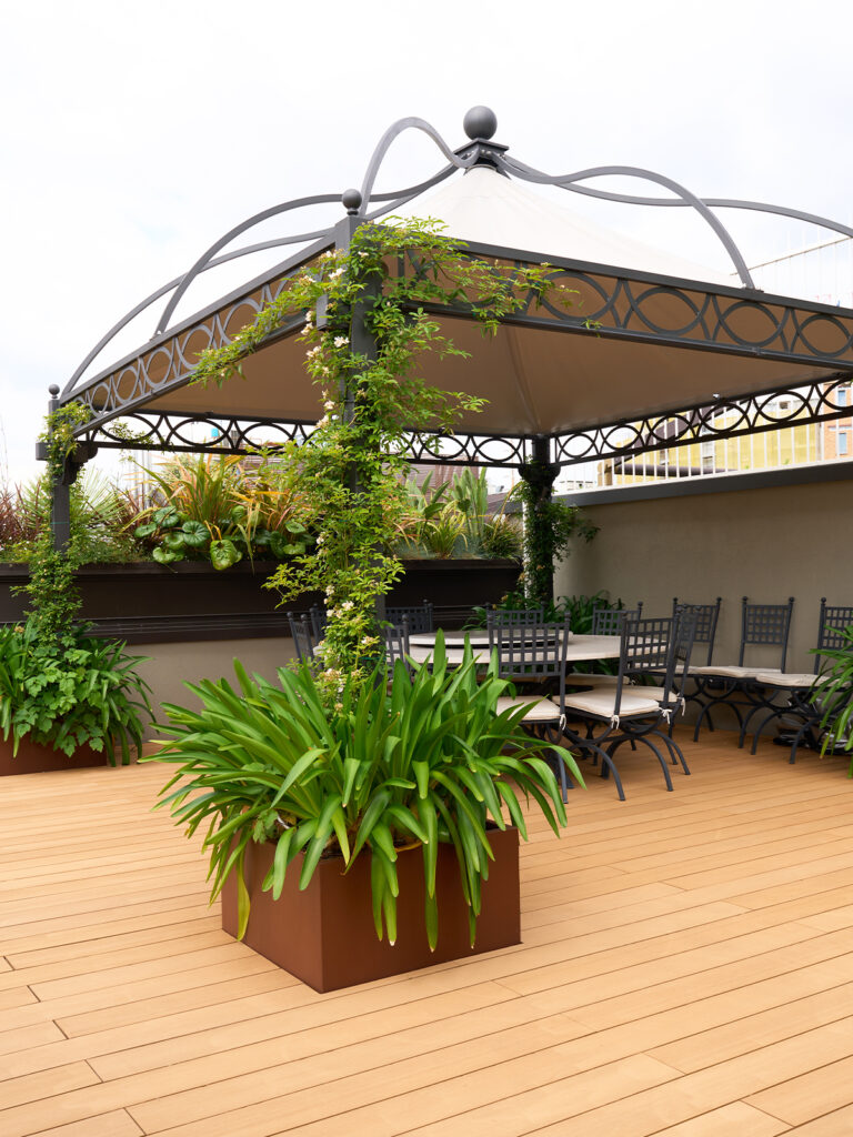 pergola - terrazzo biblioteca - studio lai valenti