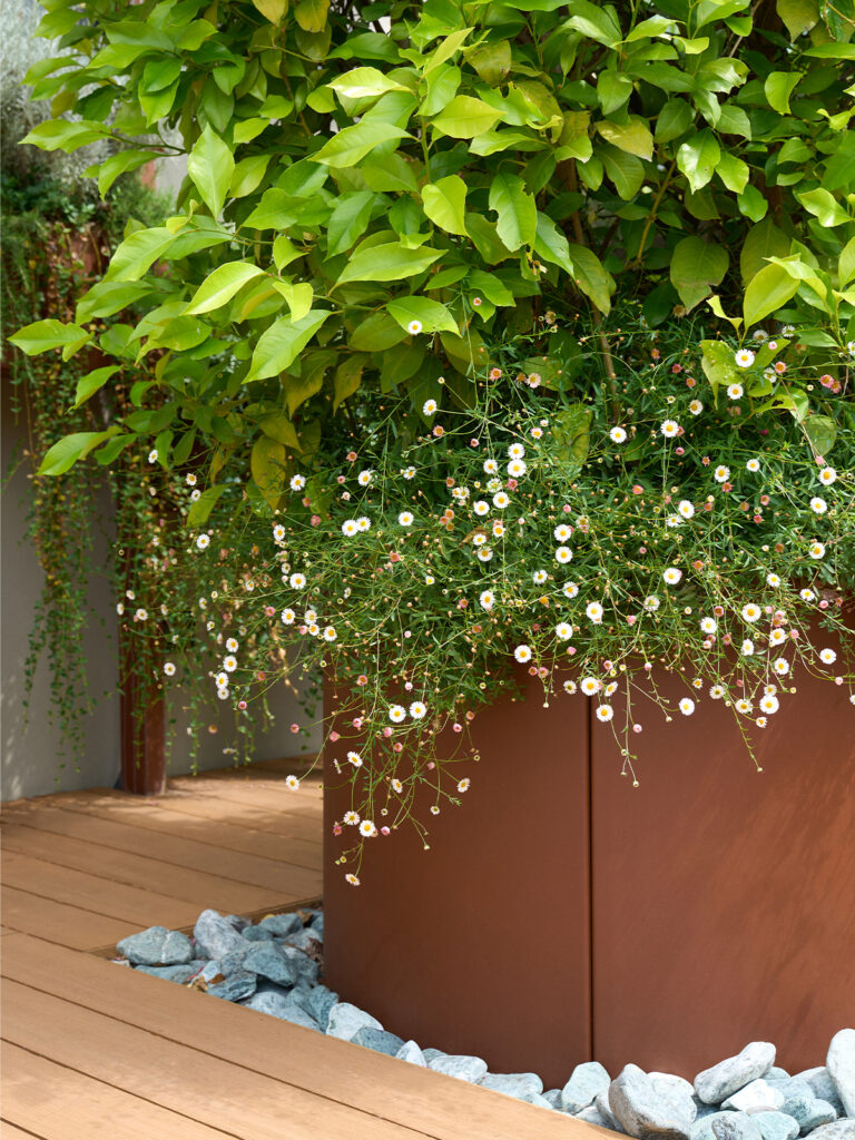 vasi e fioriere - terrazzo biblioteca - studio lai valenti