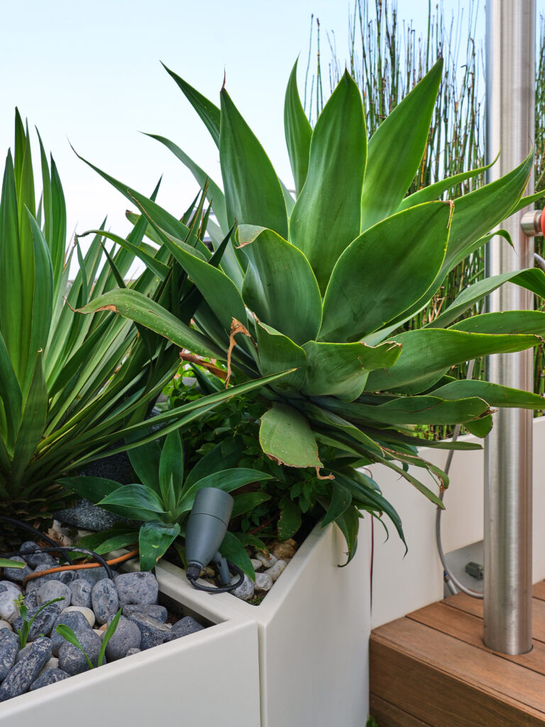 studio lai valenti - terrazzo spa - progettazione fioriere