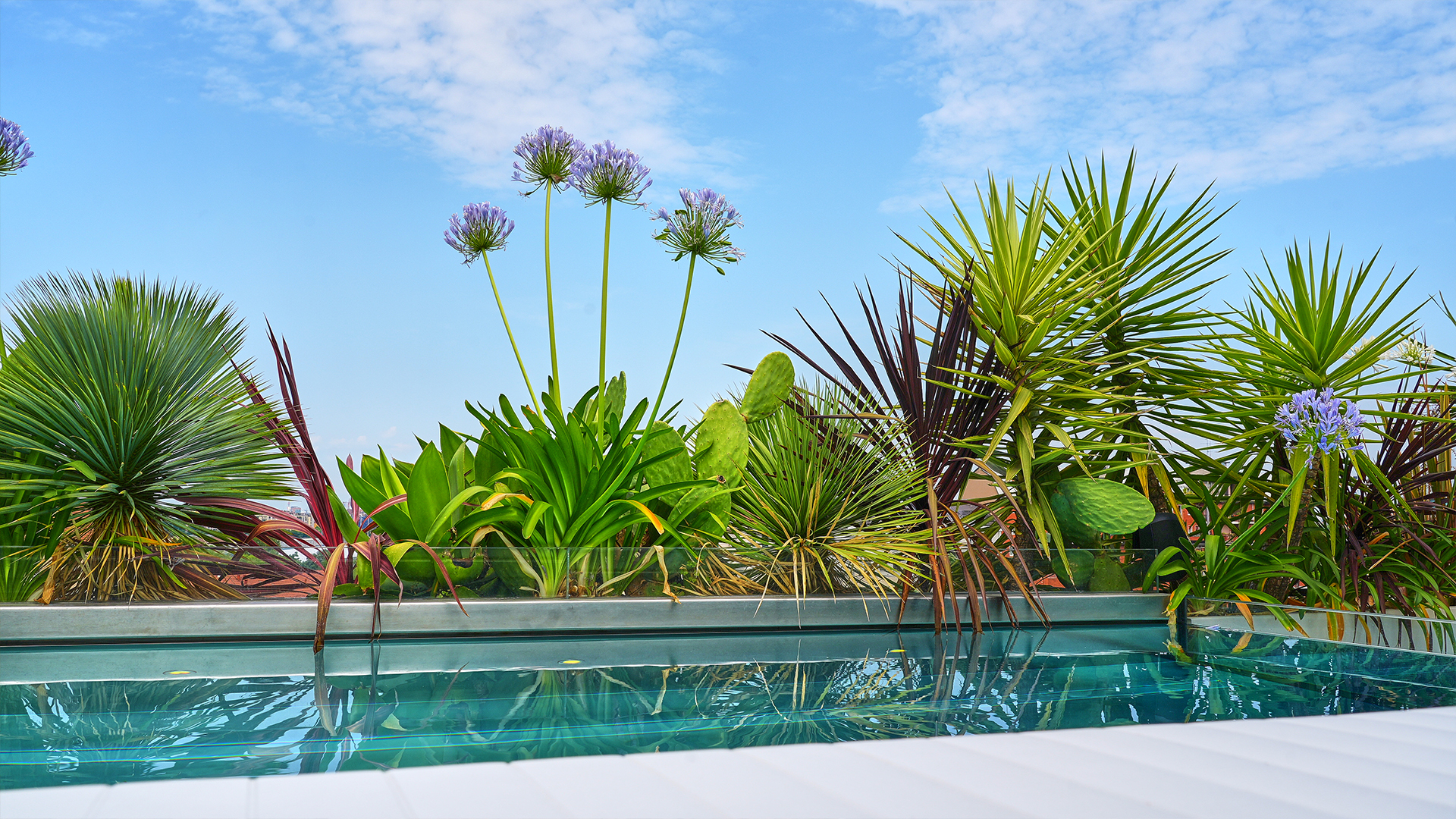 studio lai valenti - terrazzo spa - progettazione verde