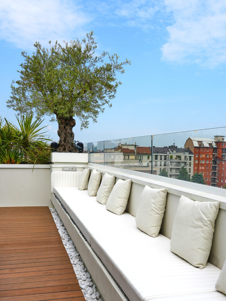 studio lai valenti - terrazzo spa - ulivo in vaso