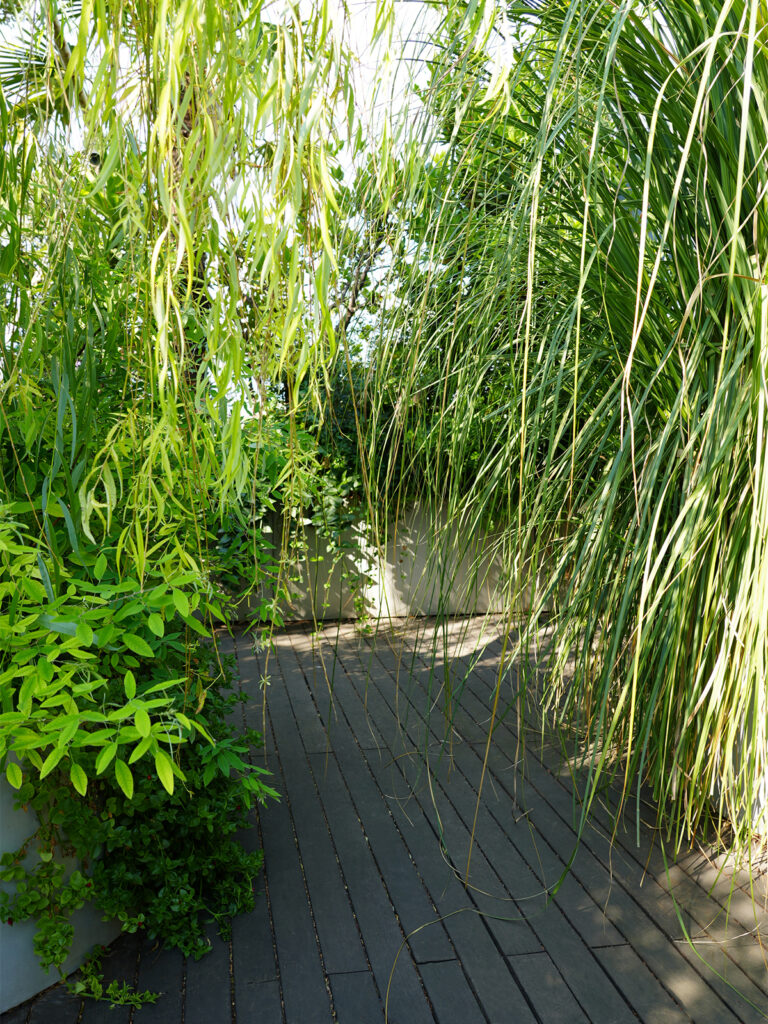 progettazione del verde - terrazzo tropical - studio lai valenti