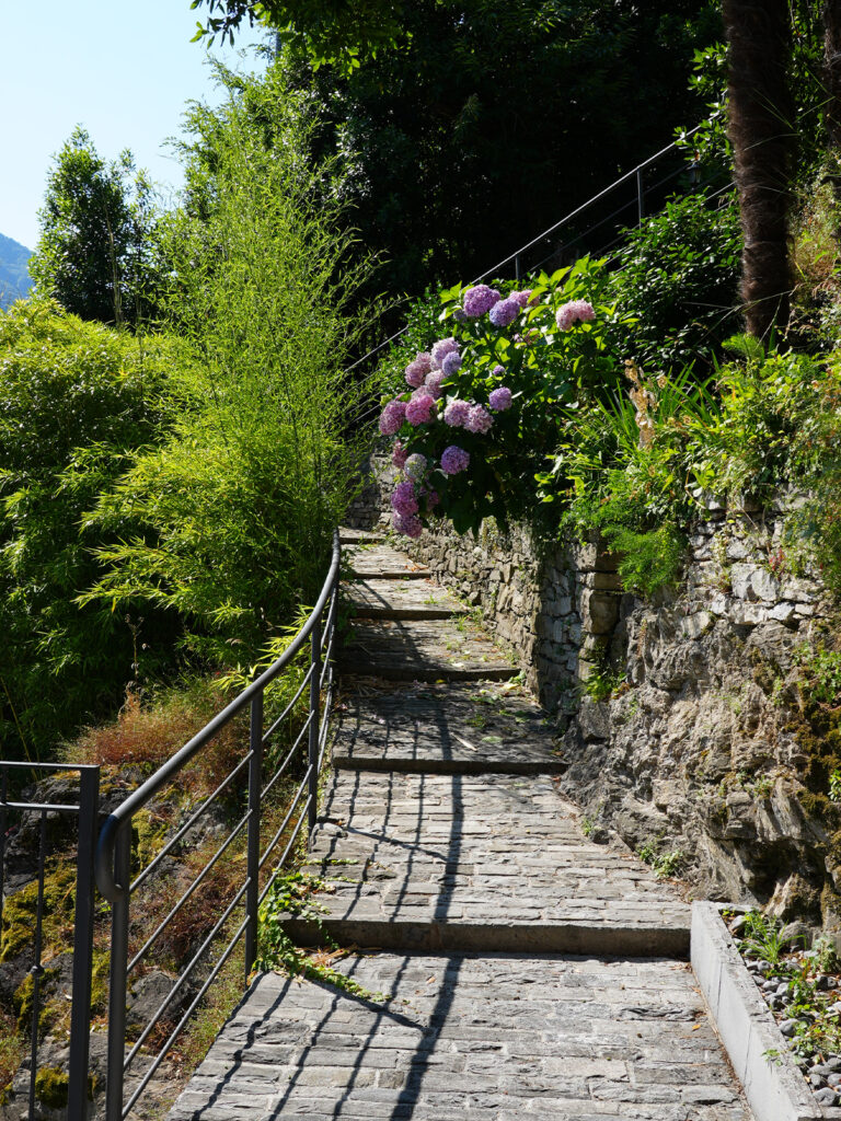 giardino a terrazze - lago di como - studio lai valenti