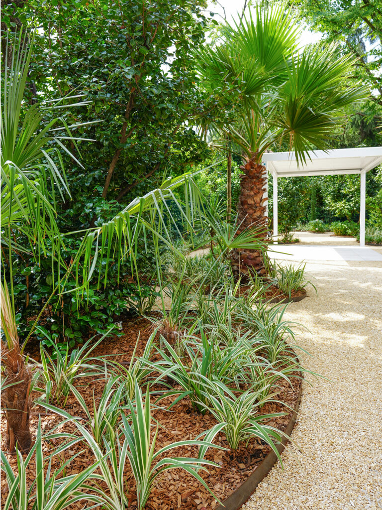 giardino aziendale - aiuola verde