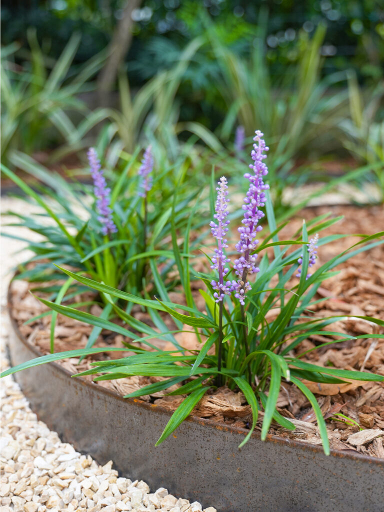 giardino aziendale - lai valenti - fiori