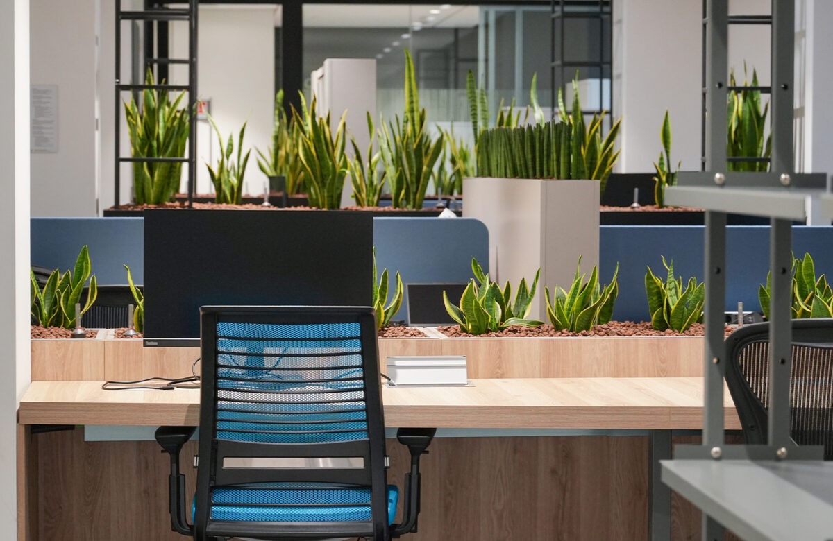 studio lai valenti - progetto di verde aziendale - oliver wyman