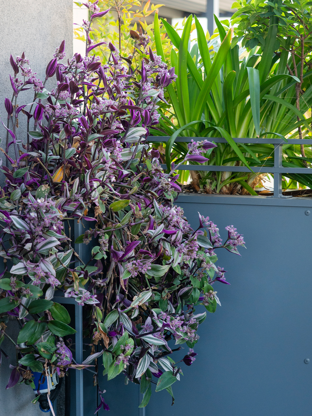 green design - studio laivalenti milano