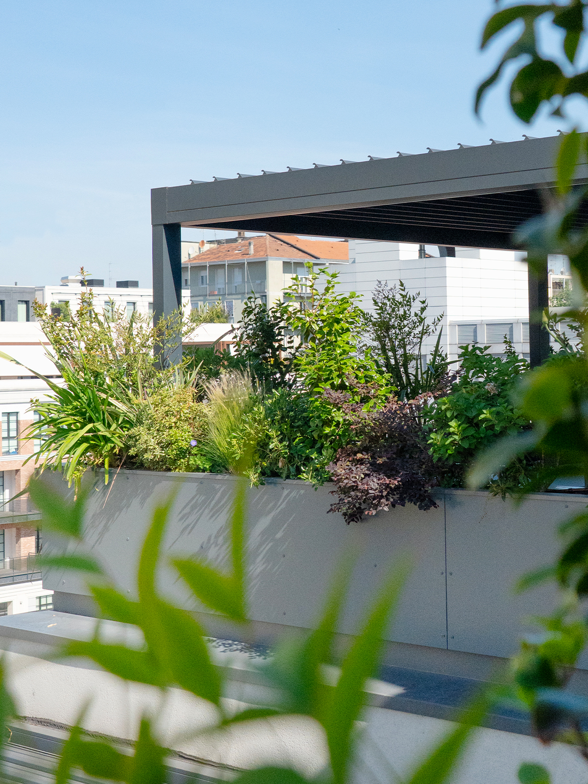progettazione verde - studio laivalenti - terrazzo milano