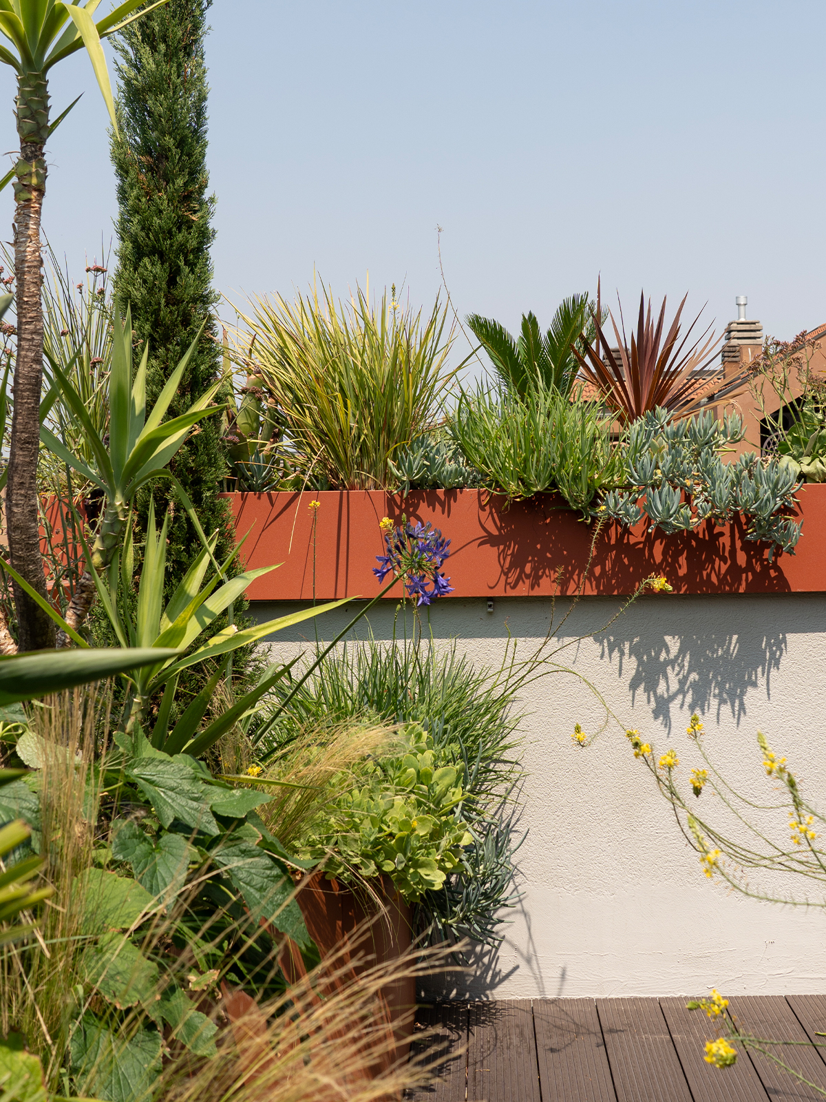 studio laivalenti - progetto mexican jungle - outdoor design