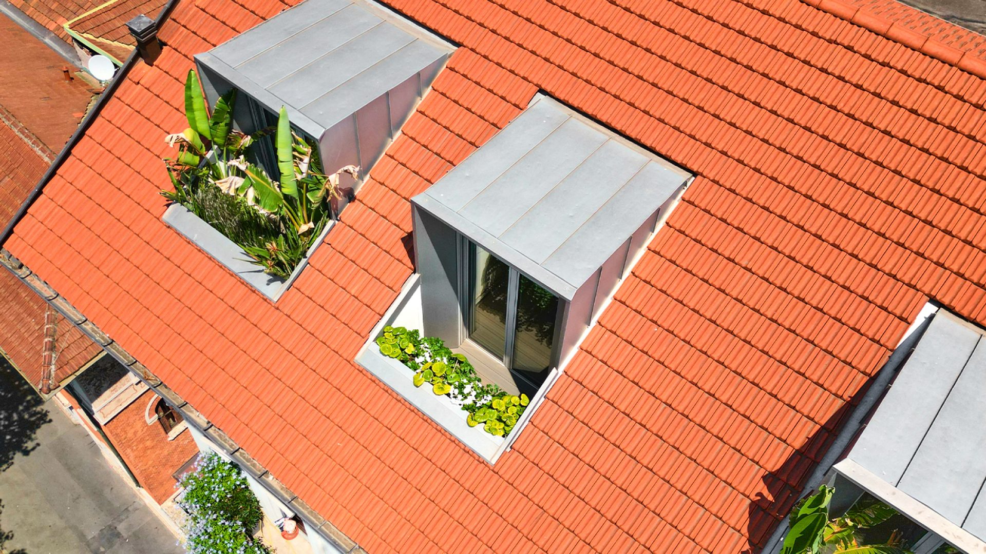 TERRAZZO A TASCA_ terrazzo anima_ studio lai valenti Terrazzi a tasca con piante tropicali e mediterranee